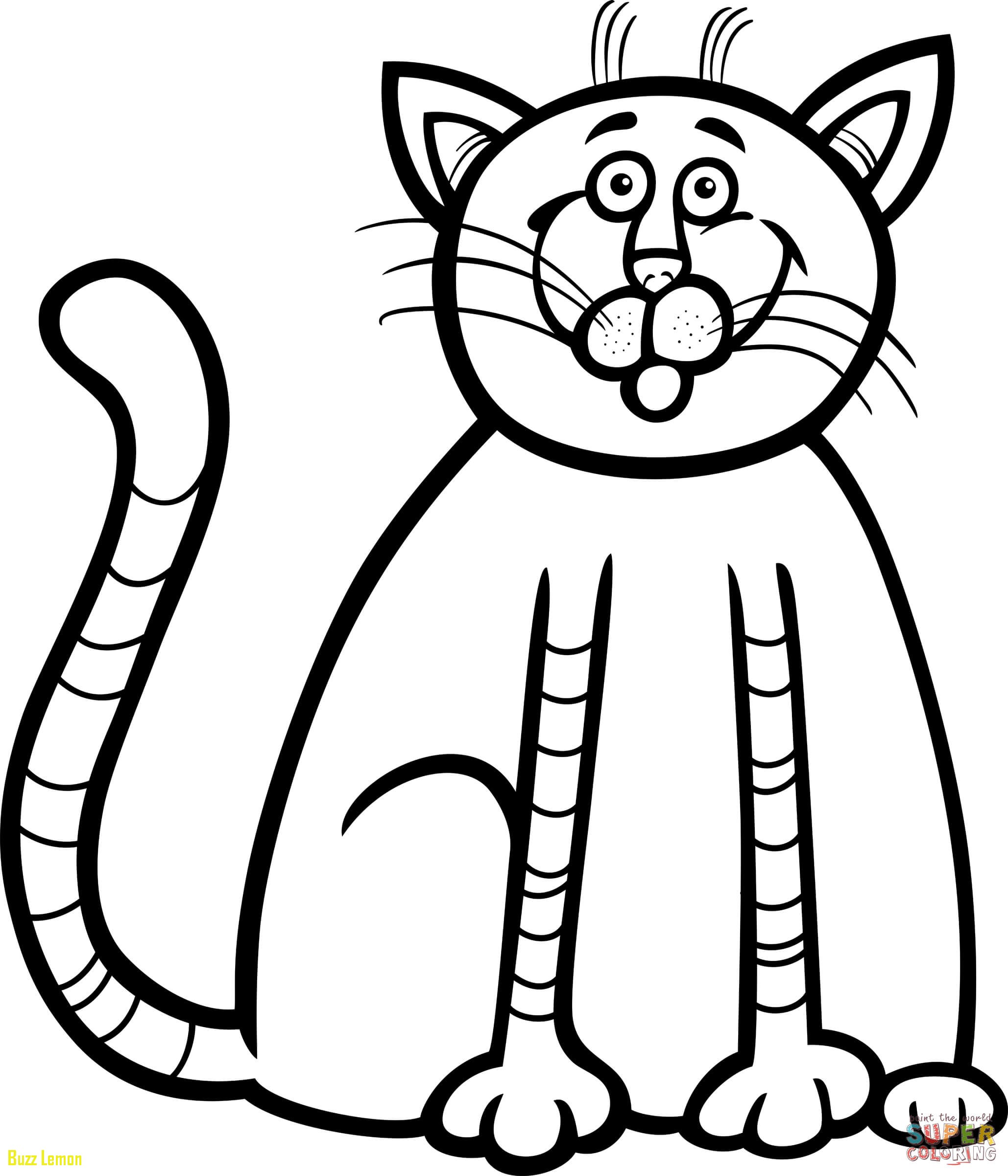 2058x2400 Coloring Page Kitten Unique Cute Kitten Coloring Page Free