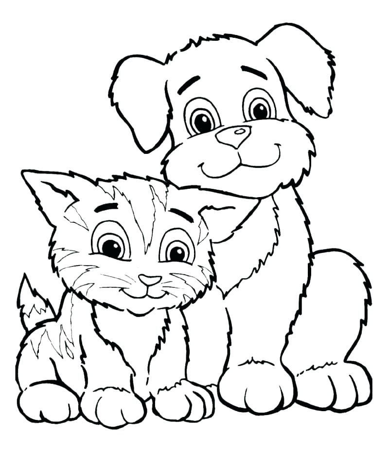 800x927 Kitten Coloring Page Kitten Coloring Pages Printable Printable