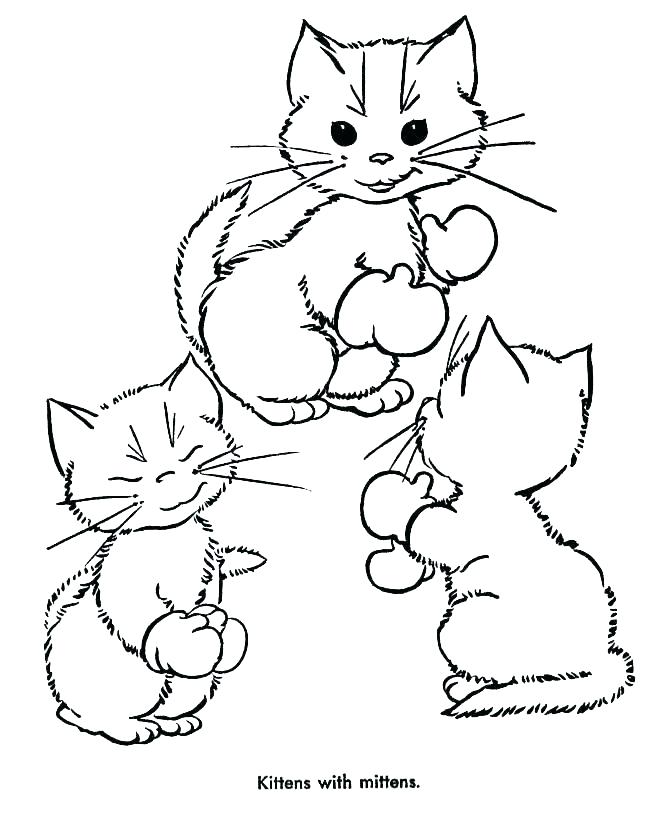 670x820 Kitten Coloring Picture Cat And Kitten Coloring Page Kitten