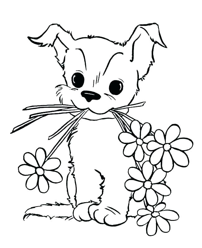 650x796 Kitten Coloring Sheets Kitten Color Pages Kitten Color Pages
