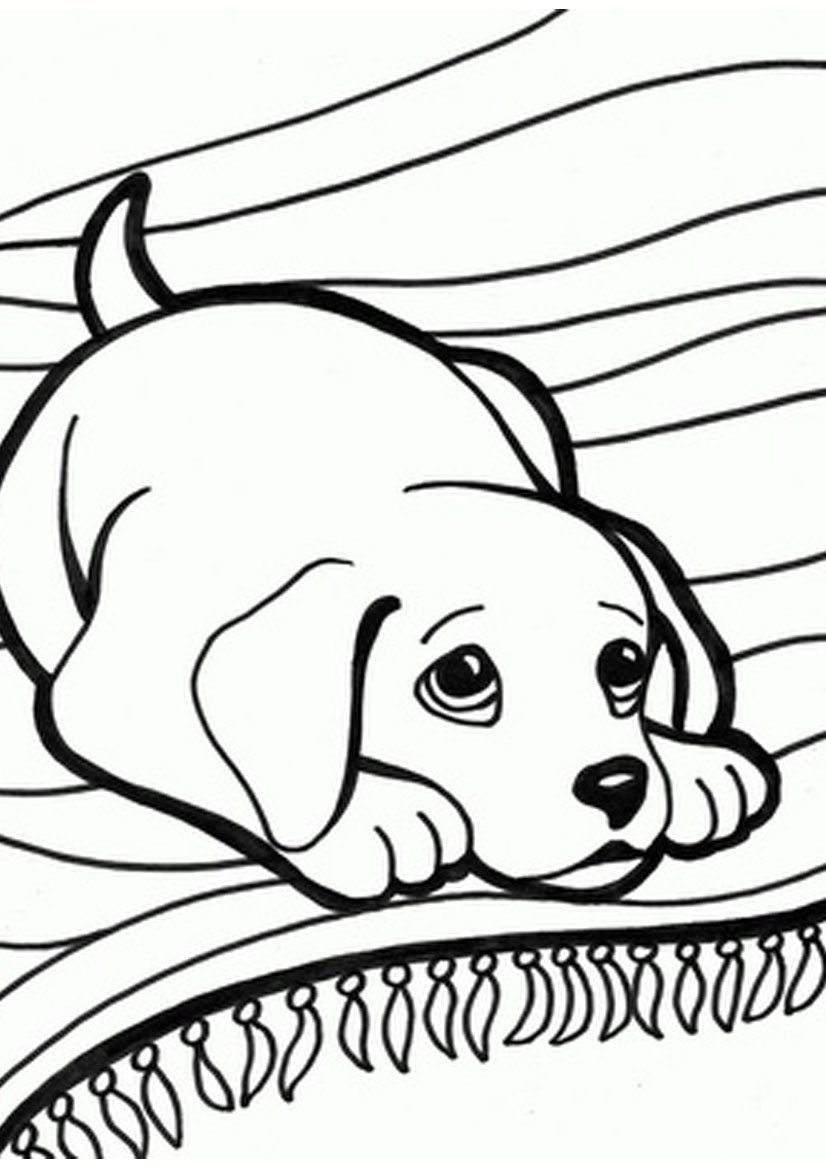 826x1169 Kitten And Puppy Printable Coloring Pages Page Beauteous Cute