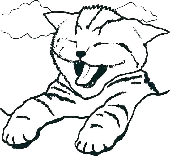 550x503 Kitten Coloring Pages For Kids Printable Coloring Pictures