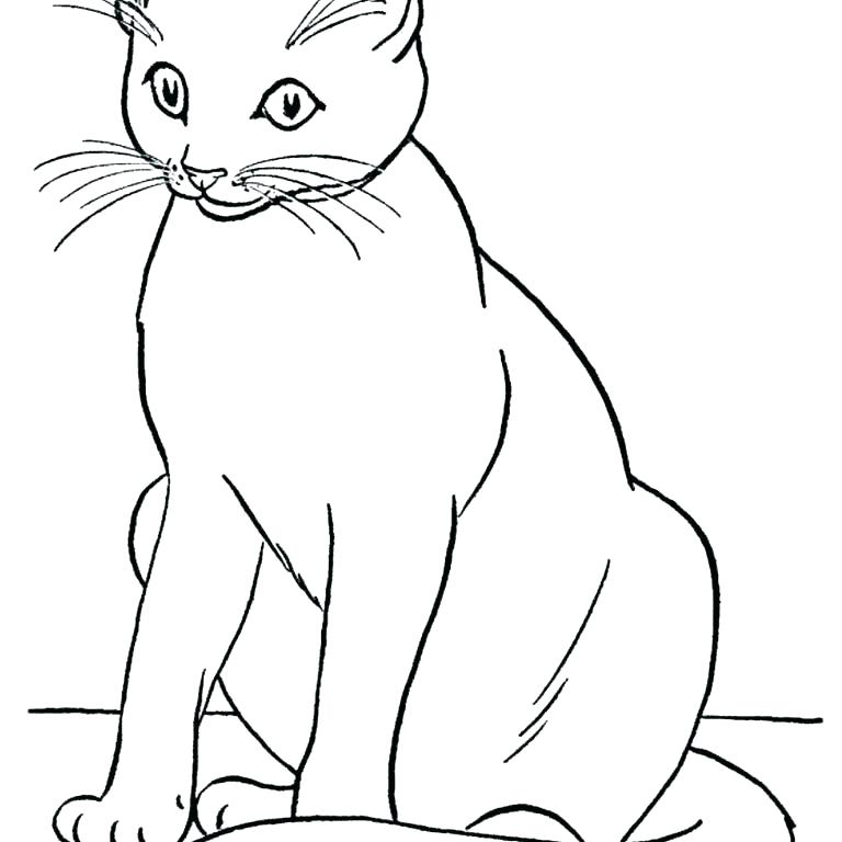 768x768 Christmas Cat Coloring Pages Free Cat Coloring Pages Kitty Cat