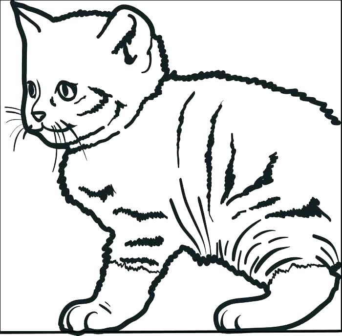 700x688 Christmas Cat Coloring Page Cat Coloring Pages Cat Coloring Pages