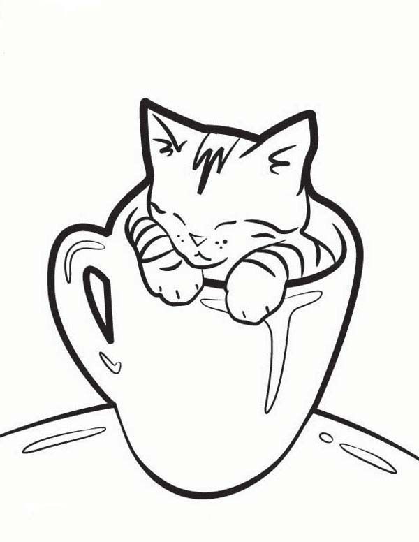 600x776 Kitty Cat, Very Cute Kitty Cat Sleeping In A Cup Coloring Page