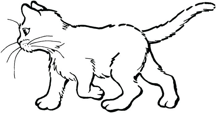 700x368 Kitty Cat Coloring Pages