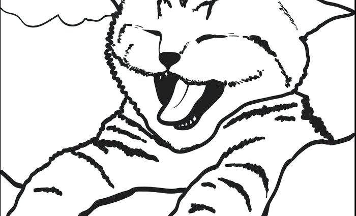 700x425 Coloring Pages Cat Free Printable Cute Kitty Cat Yawning Coloring