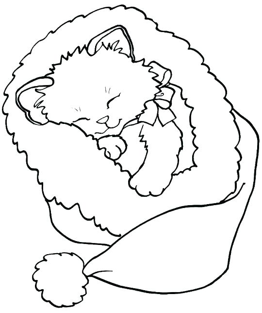540x644 Cute Kittens Coloring Pages Cute Pig Coloring Pages Cute Kitten
