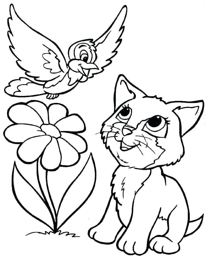 700x890 Kitty Coloring Pages Kitty Coloring Sheet Cat Color Page Kitten