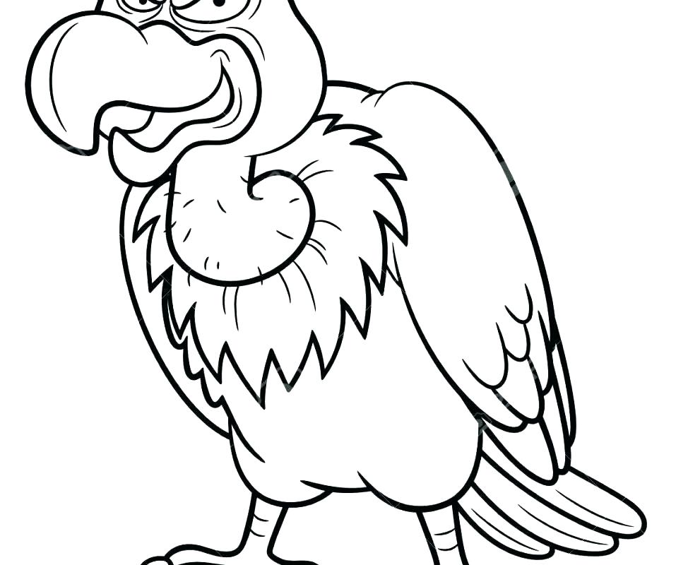 974x800 Kiwi Bird Coloring Page Coloring Pages For Boys Vulture Page