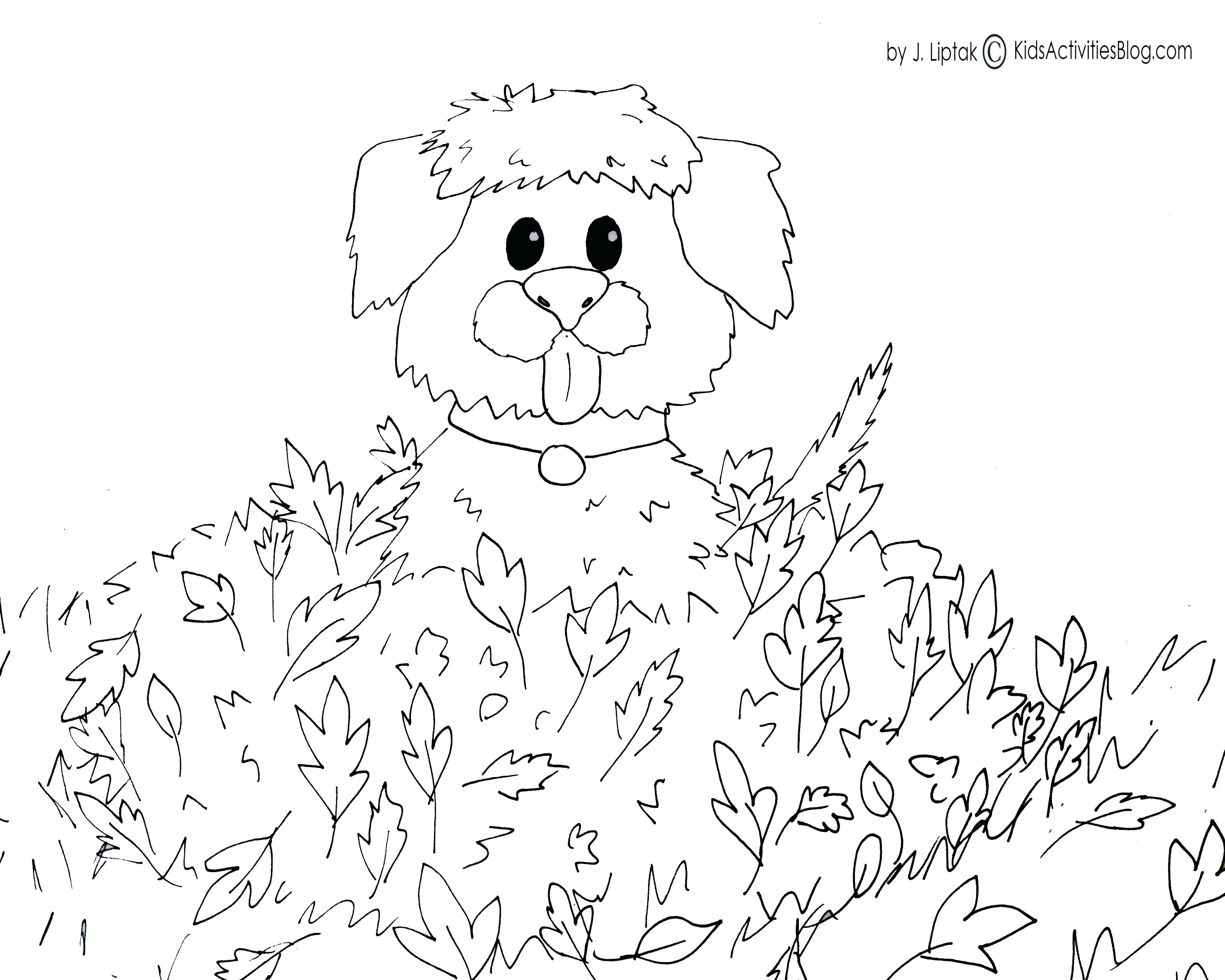 3953x3162 Kiwi Bird Colouring Pictures Best Fall Printable Coloring Pages K