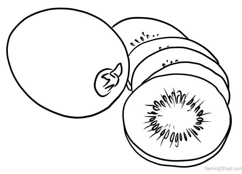 799x574 Printable Kiwi Coloring Pages To Print Coloring Pages For Kids