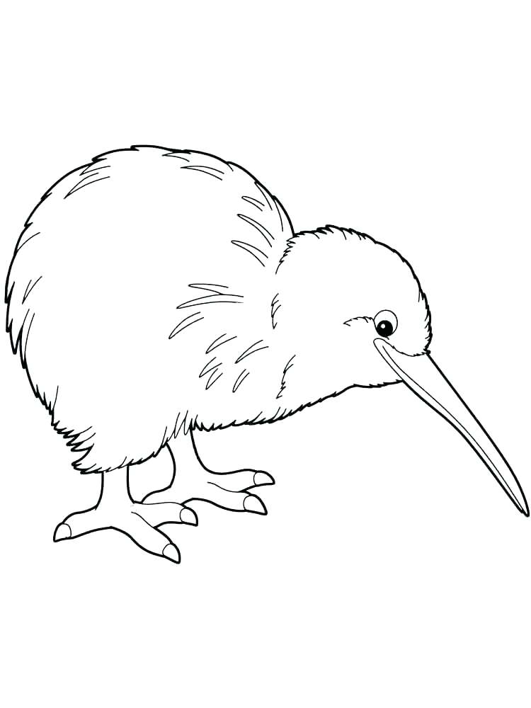 750x1000 Coloring Angry Birds Go Coloring Pages Page Kiwi Space Pdf