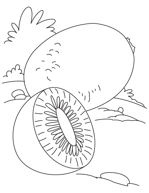 502x650 Kiwi Fruit Coloring Page Food Craft, Embroidery