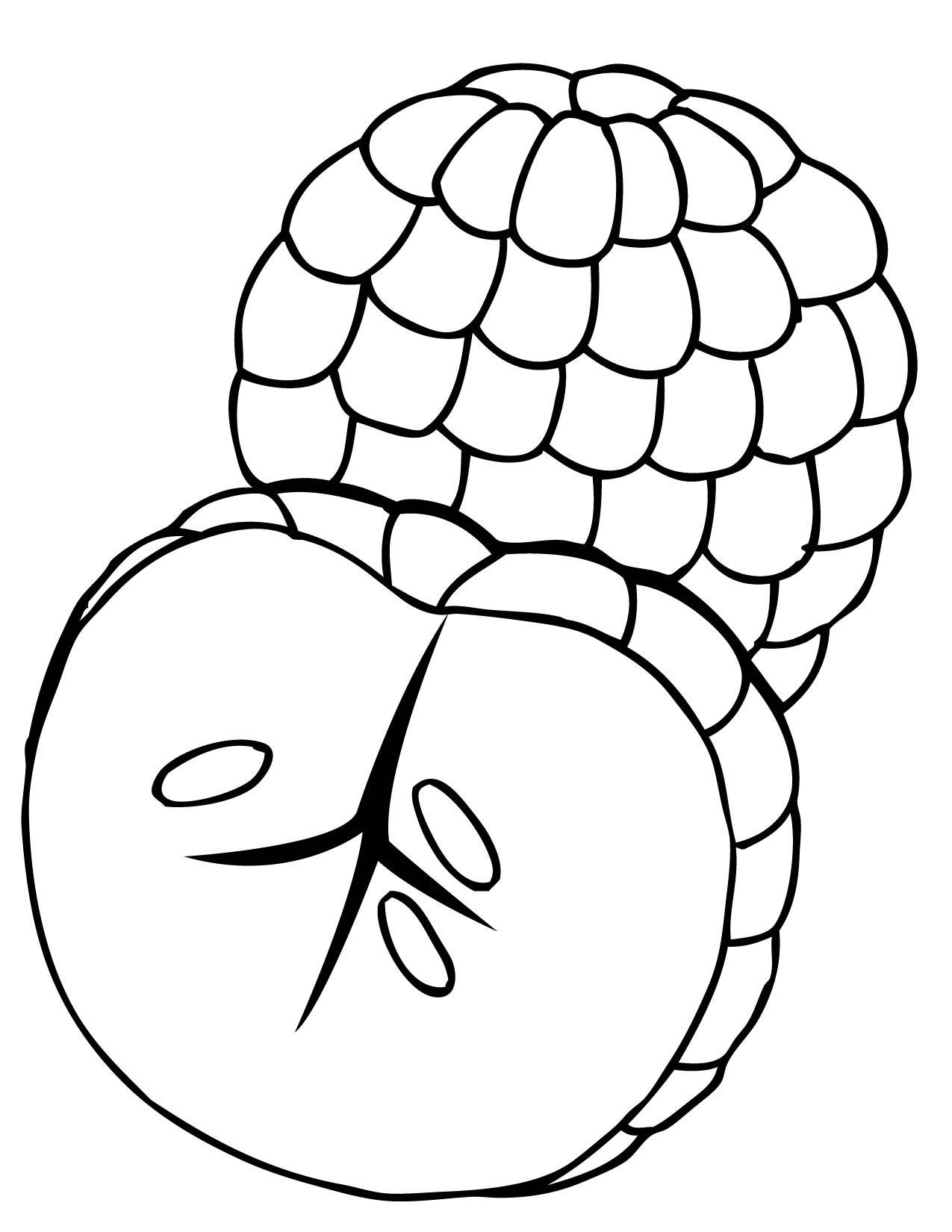 1275x1650 Inspiring Ideas Fruits Coloring Pages Kiwi Fruit Page Free