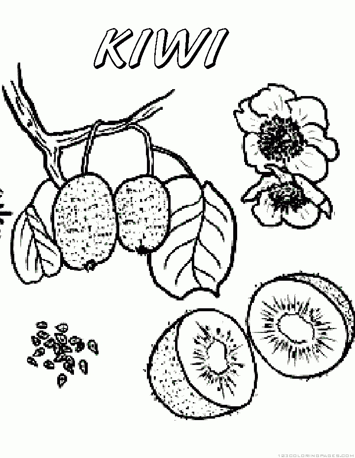 720x930 New Kiwi Fruit Coloring Pages Gallery Printable Coloring Sheet