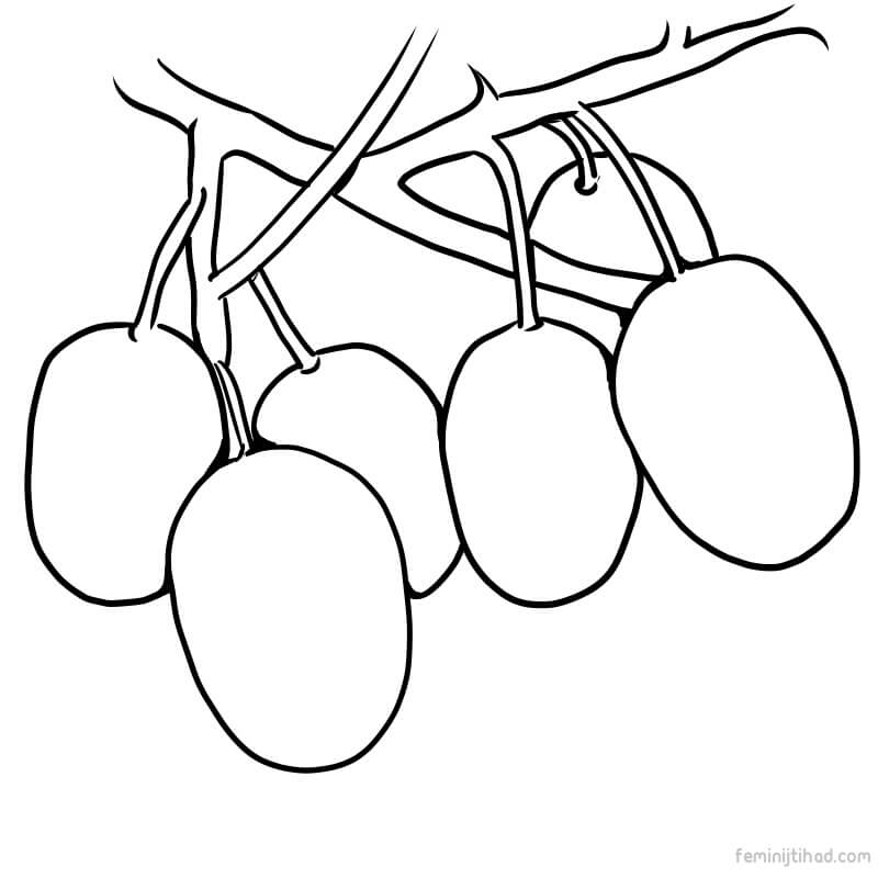 800x800 Printable Kiwi Coloring Pages To Print Coloring Pages For Kids