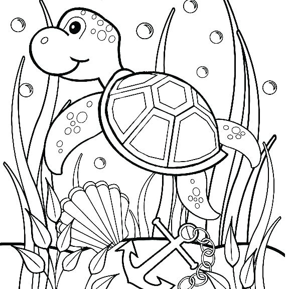 570x576 Free Printable Coloring Pages Turtles Kids Coloring Coloring Pages