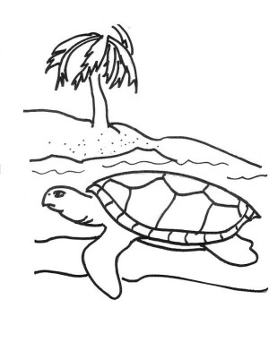 300x382 Sea Turtle Knitting Pattern Coloring Page Beach Decor