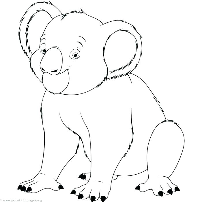 700x700 Koala Bear Coloring Pages Koala Coloring Page Realistic Koala
