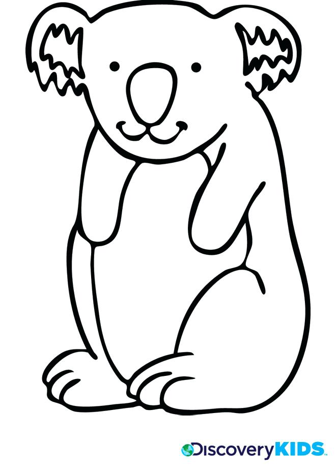 Koala Bear Coloring Page at GetDrawings | Free download