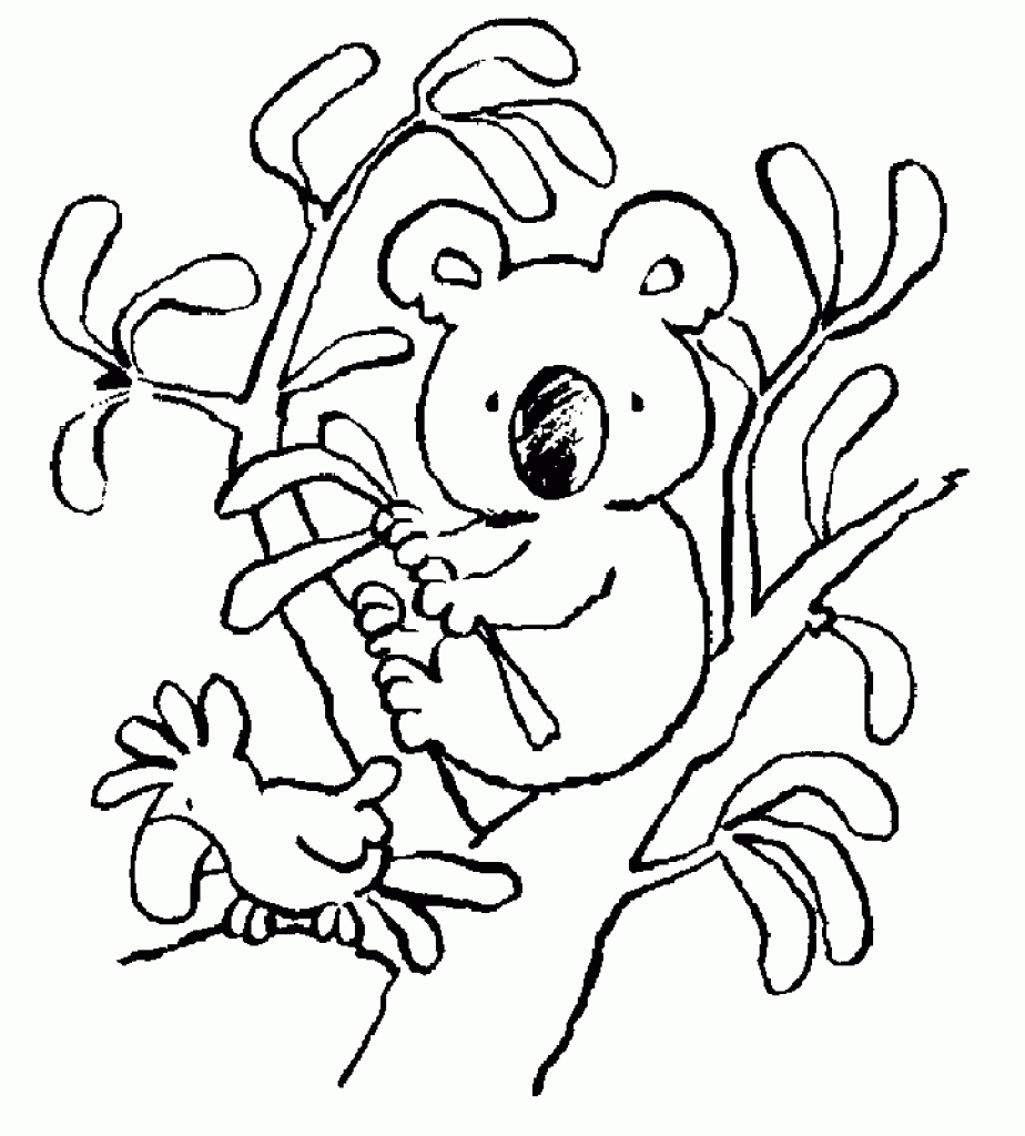 924x1024 New Koala Page To Color Design Printable Coloring Sheet