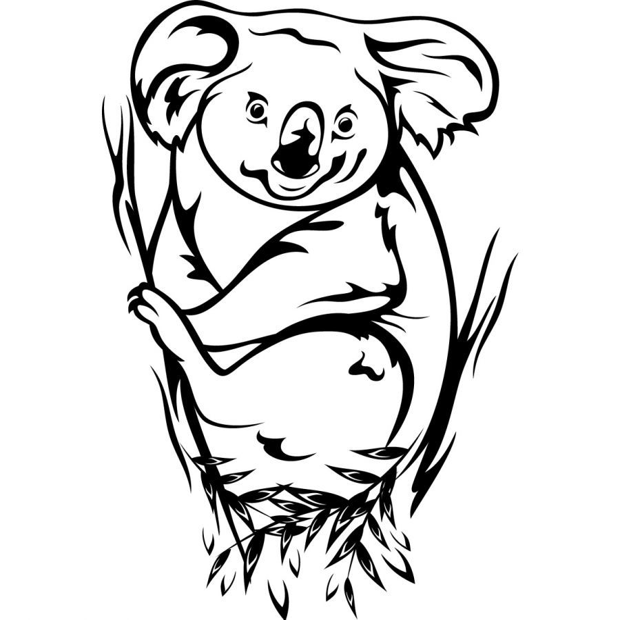 900x899 Koala Coloring Pages For Kids Koala