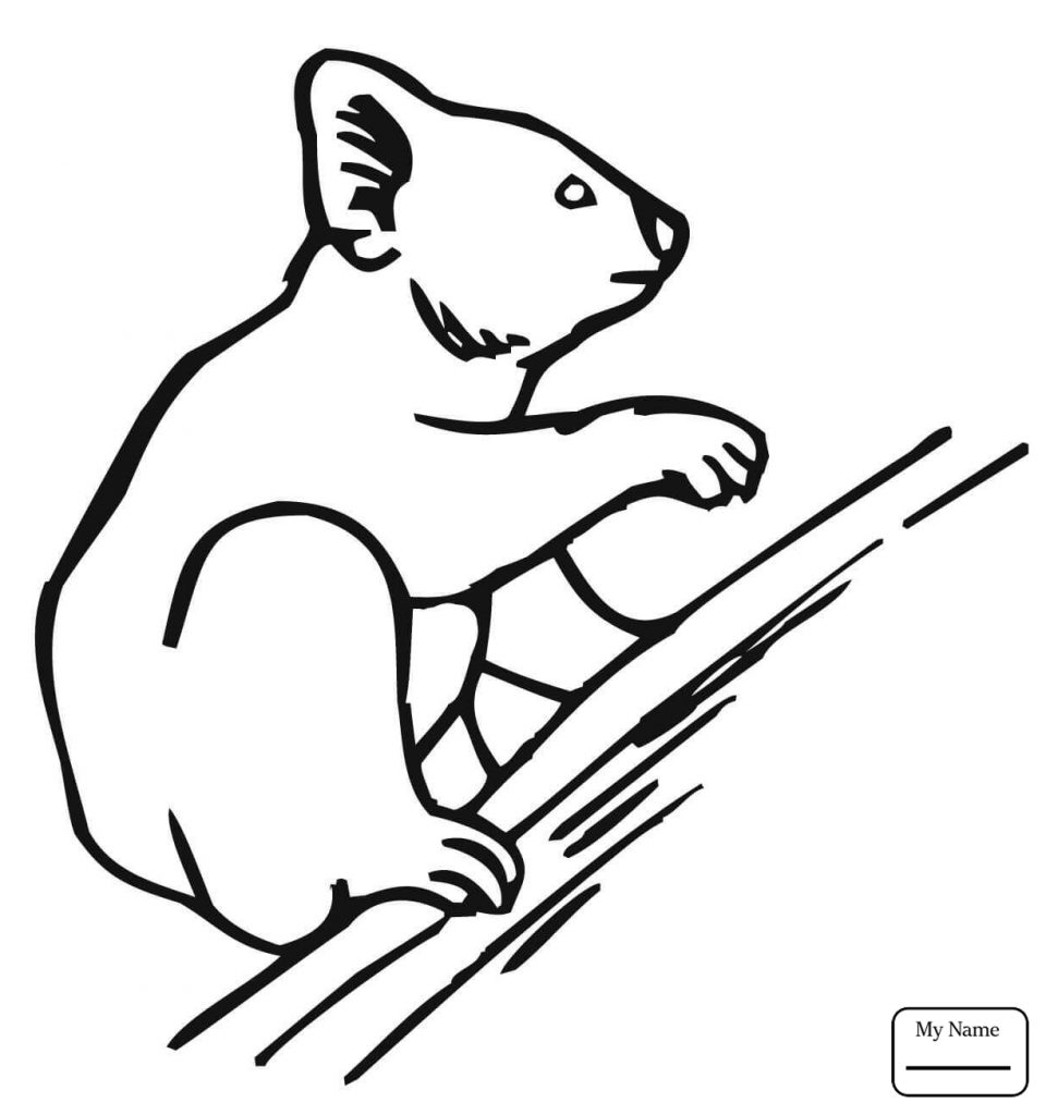 960x1024 Marvelous Baby Koala Coloring Pages Bear For Kids Free High