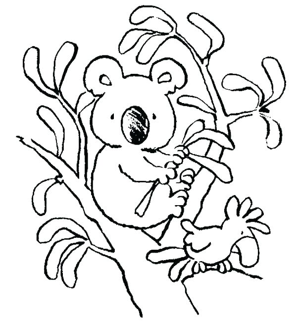 600x664 Free Printable Coloring Pages Koala Bear Printable Coloring Koala