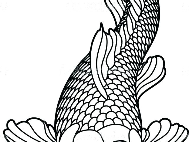 640x480 Koi Fish Coloring Pages Fish Coloring Pages Sketch Realistic Koi