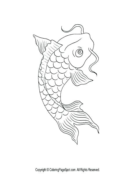 463x600 Realistic Fish Coloring Pages Medium Size Of Page Bass Koi