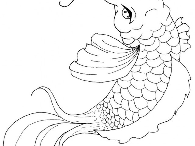 640x480 Japanese Koi Fish Coloring Pages Blooming Lotus And Coy Fish