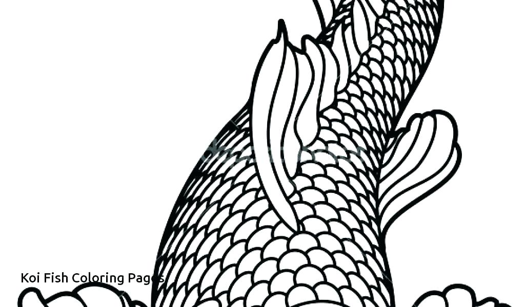 1024x600 Koi Fish Coloring Page Realistic Fish Coloring Pages Printable