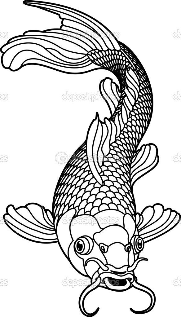 584x1023 Koi Carp Detailed Coloring Page Koi Carp Black And White Fish