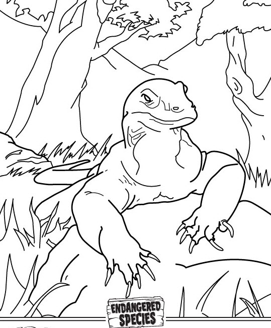 Komodo Dragon Coloring Page at GetDrawings | Free download
