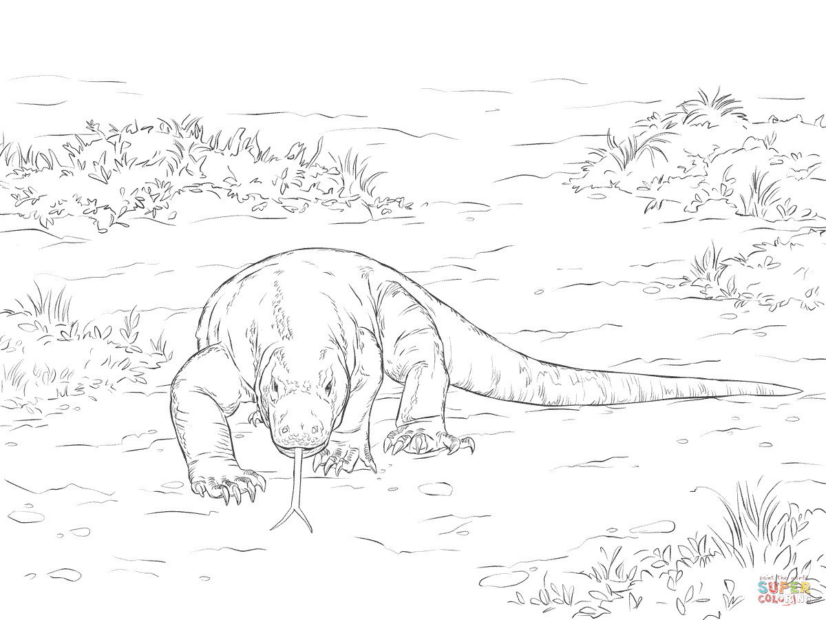 1200x900 Walking Komodo Dragon Coloring Pages