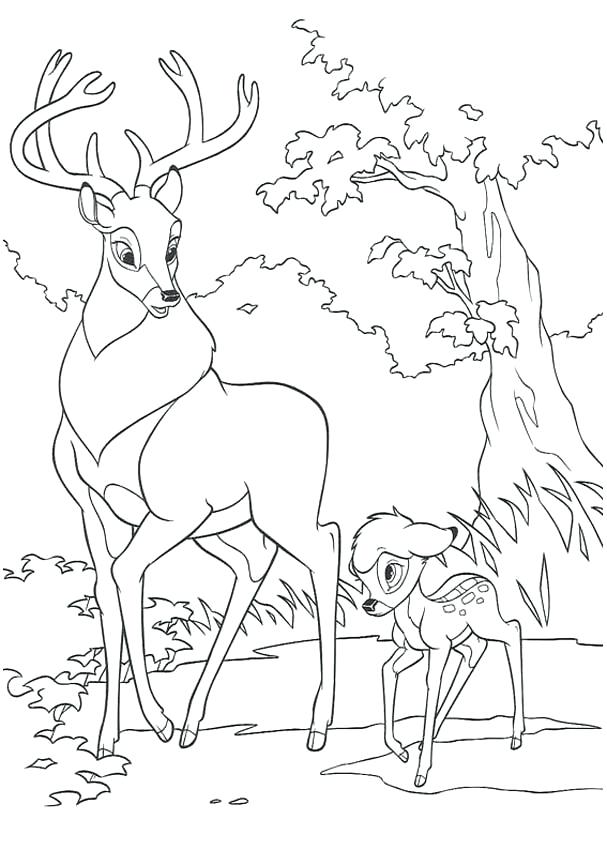 607x850 Bambi Coloring Pages Amazing Kubo And The Two Strings Coloriages