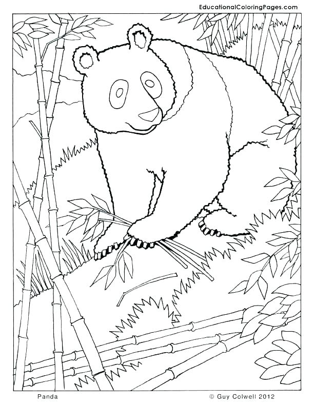 612x792 Kung Fu Panda Coloring Pages Icontent