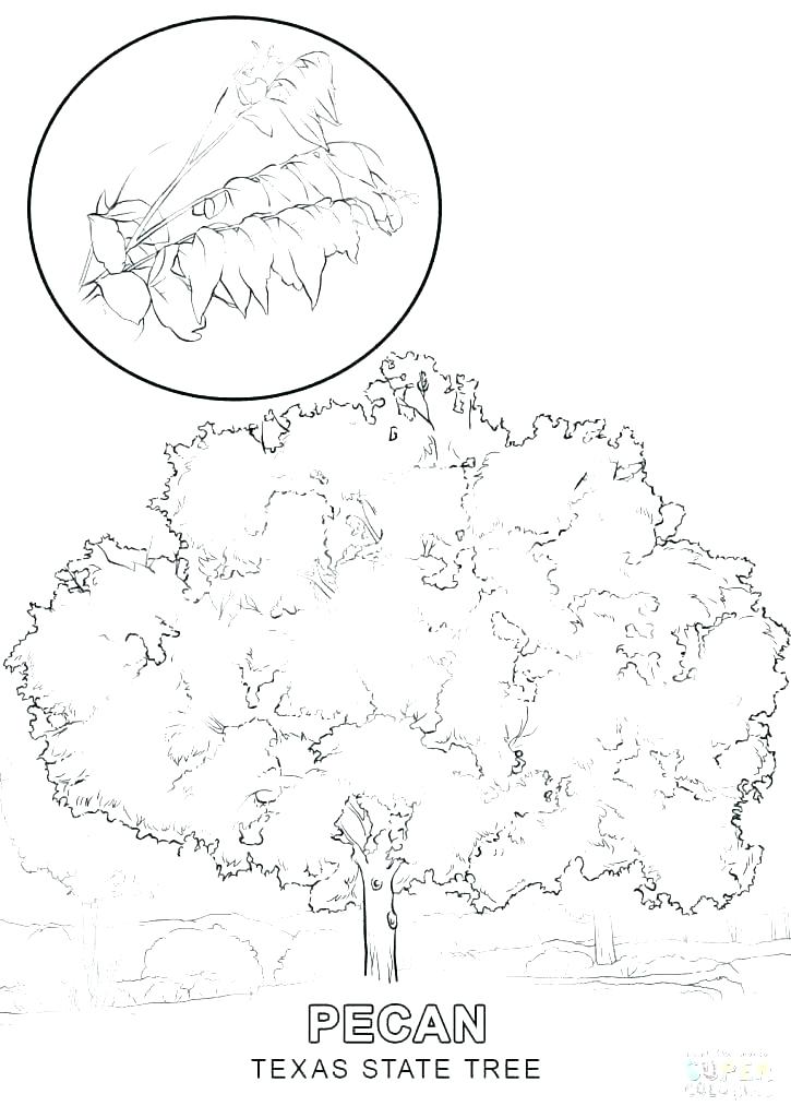 725x1024 Us Symbols Coloring Pages Patriotic Coloring Pages Remarkable