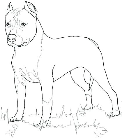419x480 Black Lab Coloring Pages Coloring Pages Retriever Coloring Pages