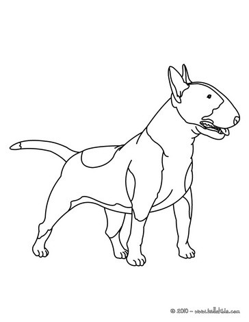 364x470 Labrador Coloring Pages