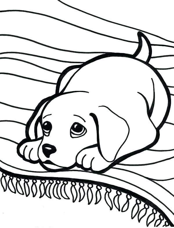 Lab Dog Coloring Pages at GetDrawings | Free download