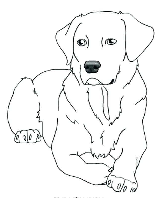 Printable Labrador Coloring Page - Printable World Holiday