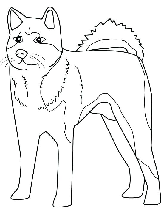 540x720 Realistic Dog Coloring Pages Realistic Dog Coloring Pages