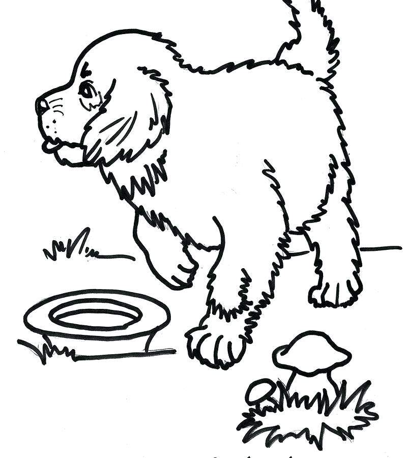 800x900 Coloring Labrador Retriever Coloring Pages Illustration Of Large