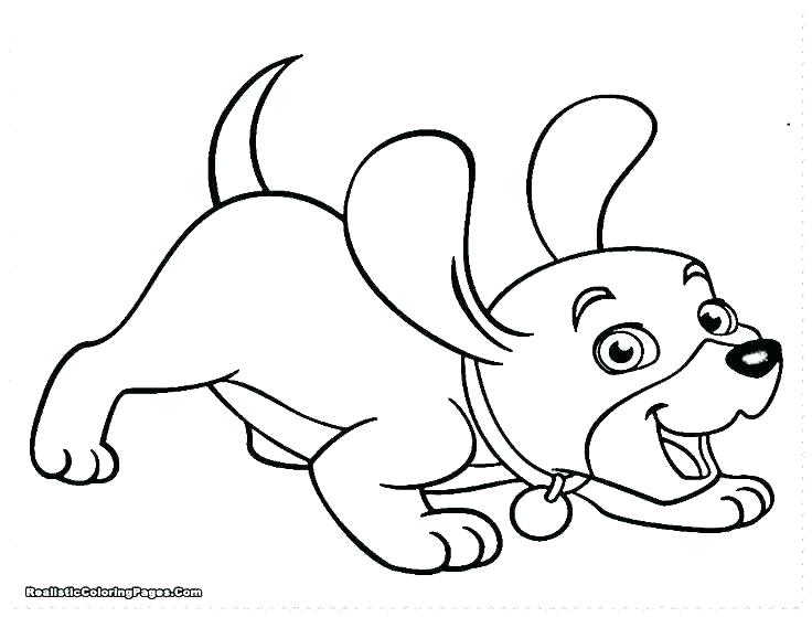 736x559 Labrador Coloring Pages