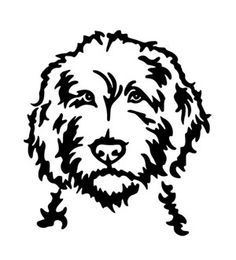 236x260 Billedresultat For Labradoodle Drawing Eliteblend Labradoodles