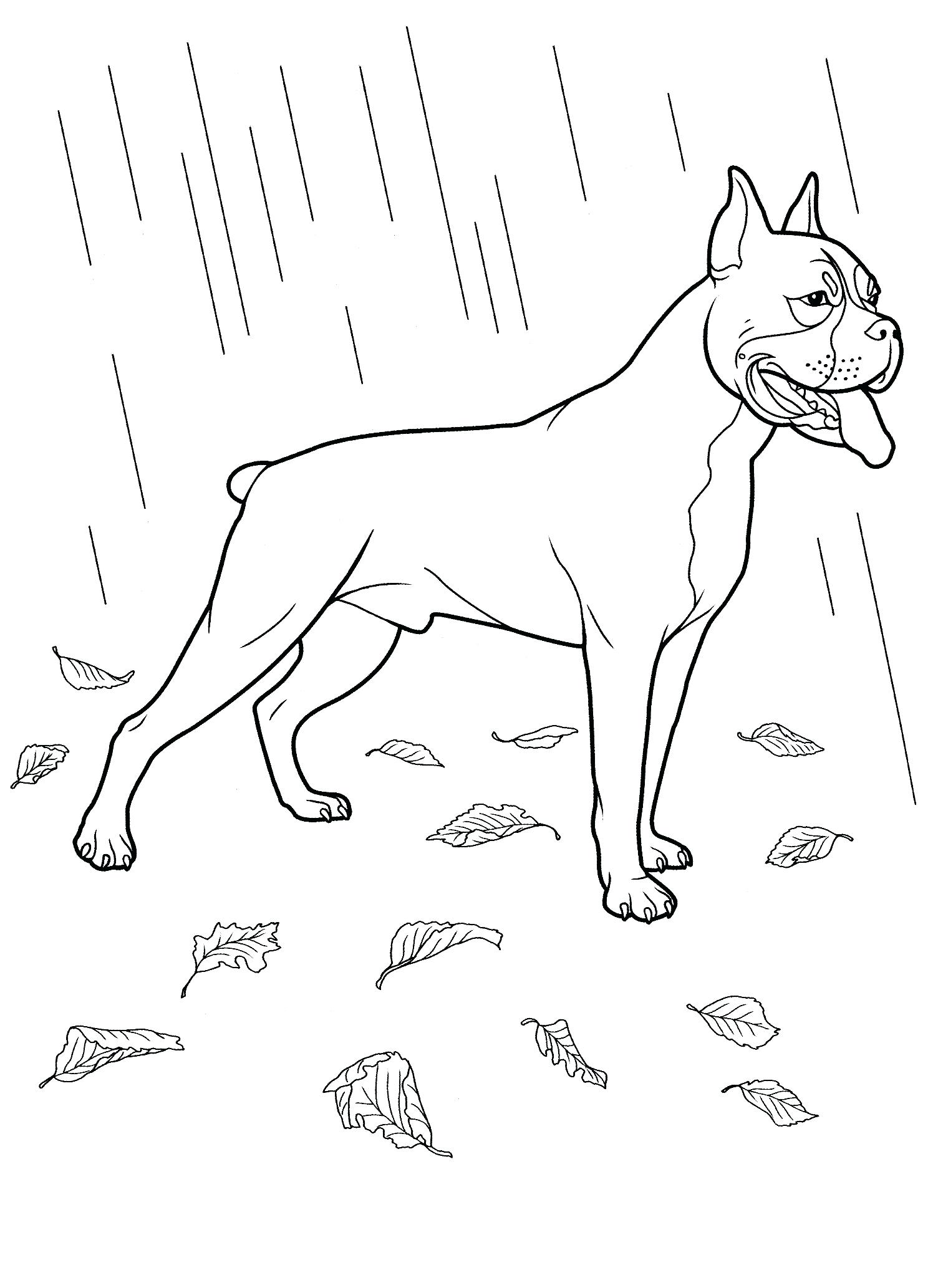 1496x2066 Labrador Retriever Coloring Pages Dog Teenagers With Labrador