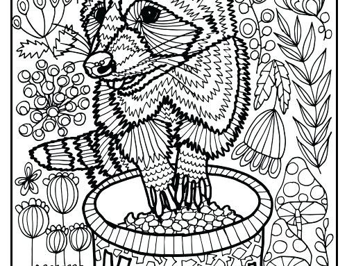 500x383 Labrador Retriever Coloring Pages Raccoon Page Puppy