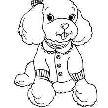 220x220 Labrador Coloring Pages